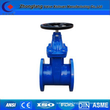 Soft sealing surface rising stem gate valve